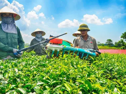 "Phá băng" cho ngành Nông nghiệp từ nâng cao năng lực sản xuất của nông dân