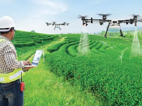 Cần siết chặt quản lý thiết bị drone trong nông nghiệp