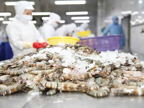 Sản lượng thủy sản tiếp tục tăng trong tháng 4 và 4 tháng đầu năm 2025