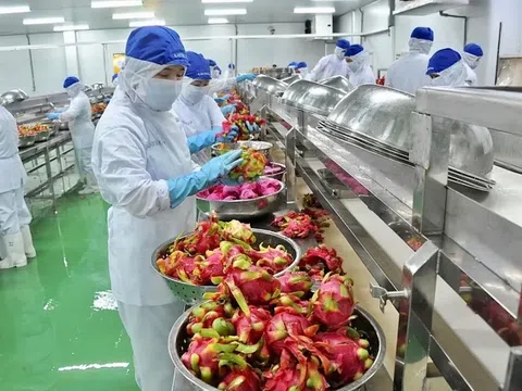 Sản xuất và thương mại nông sản khởi sắc trong 5 tháng đầu năm