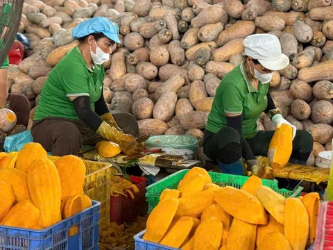 Hơn 28 tỷ USD thu về từ xuất khẩu nông, lâm, thủy sản trong 5 tháng đầu năm