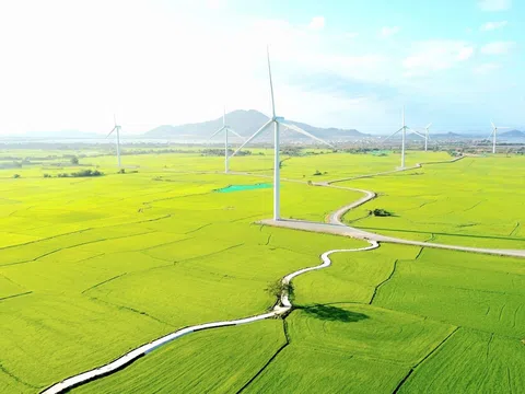 Kinh tế xanh ở Việt Nam: Thách thức và những cơ hội phát triển