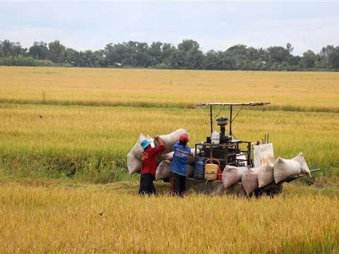 Net-Zero cho nền văn minh lúa nước, trách nhiệm của chúng ta