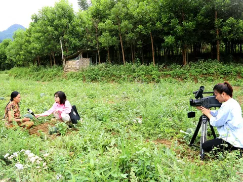 Ngòi bút xanh lan tỏa hành động xanh