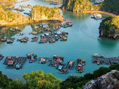 Khám phá 10 điểm đến ấn tượng không thể bỏ lỡ tại Cát Bà