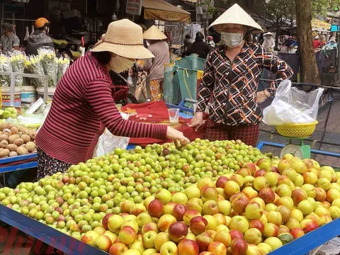 Chợ Hà Nội bày bán tràn lan mận, đào Trung Quốc gắn mác hàng Việt