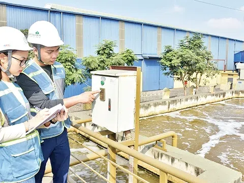 Tăng trưởng xanh: Việt Nam cần “kiến trúc sư" và cuộc cách mạng ý thức