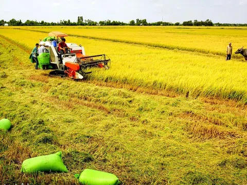 Tháo gỡ vướng mắc, hoàn thiện thể chế phân quyền ngành nông nghiệp và môi trường