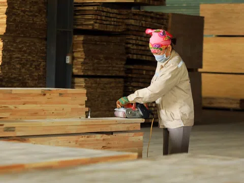 Ngành gỗ tìm lối đi mới giữa “bão” thuế 20%