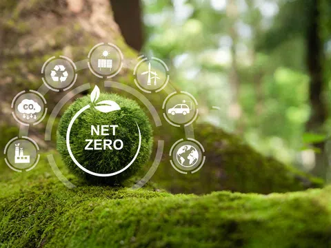 Doanh nghiệp chung tay giảm phát thải, hướng tới Net Zero 2050