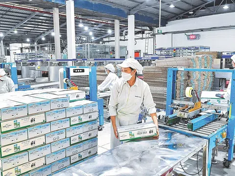 80 năm Quốc khánh: Dấu ấn doanh nghiệp Việt trên hành trình dựng xây đất nước