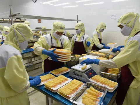 200 triệu USD thủy sản đối mặt rào cản MMPA: Việt Nam khẩn trương ứng phó