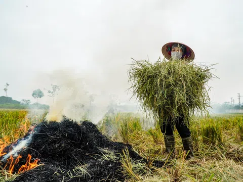 Tái chế phụ phẩm nông nghiệp: Gian nan biến “rác” thành “vàng”