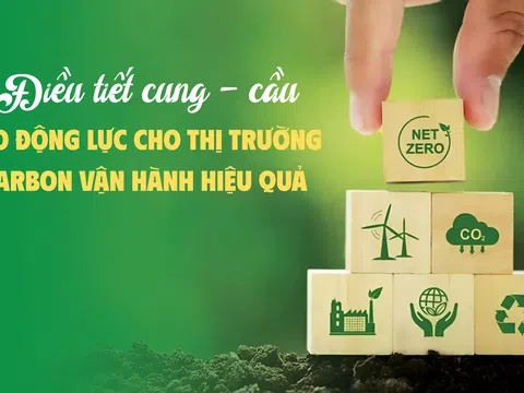 Điều tiết cung - cầu, tạo động lực cho thị trường carbon vận hành hiệu quả
