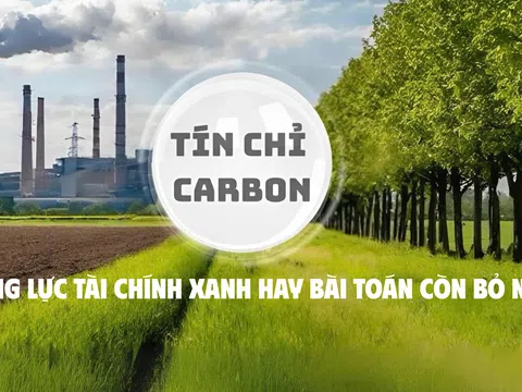 Tín chỉ carbon - Động lực tài chính xanh hay bài toán còn bỏ ngỏ?