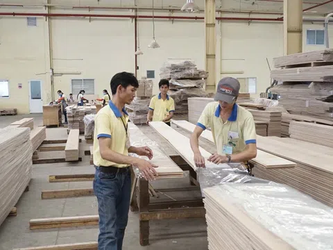 Ngành lâm nghiệp Việt Nam tăng tốc chuyển đổi số với công cụ nhận diện gỗ