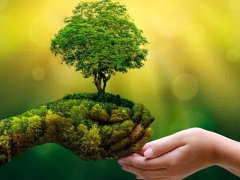 Việt Nam chủ động loại trừ chất hại ô-dôn, thúc đẩy chuyển đổi xanh