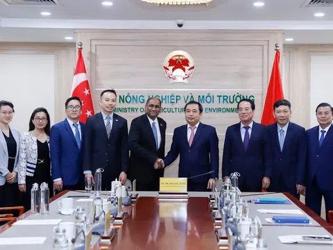 Việt Nam và Singapore bắt tay mở rộng hợp tác carbon vì mục tiêu phát triển bền vững