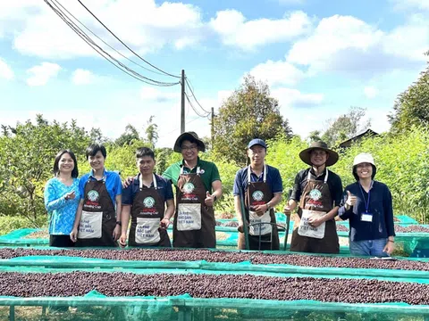 Cuộc thi “Cà phê đặc sản Việt Nam 2024”: Tôn vinh cà phê đạt tiêu chuẩn đặc sản