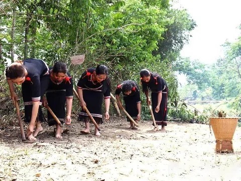 Nghi lễ cúng cầu mưa và cầu mùa độc đáo của người Êđê tại Krông Bông