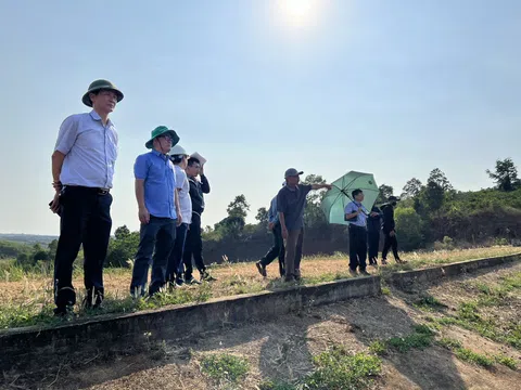 Ngành nông nghiệp Đắk Lắk nỗ lực đảm bảo nước tưới cho 433.579 ha cây trồng vụ Đông Xuân