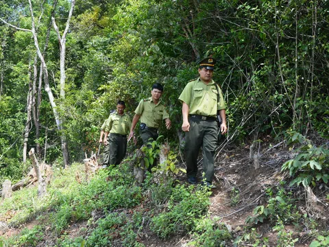 Nghỉ lễ 30/4 và 1/5, Đắk Nông vẫn siết chặt công tác quản lý và bảo vệ rừng