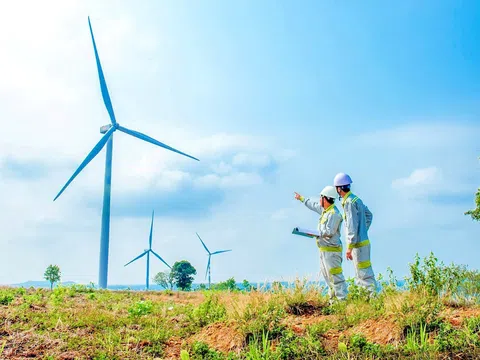Đắk Nông kỳ vọng điện gió đi vào hoạt động sẽ đóng góp ngân sách 200 tỷ đồng mỗi năm