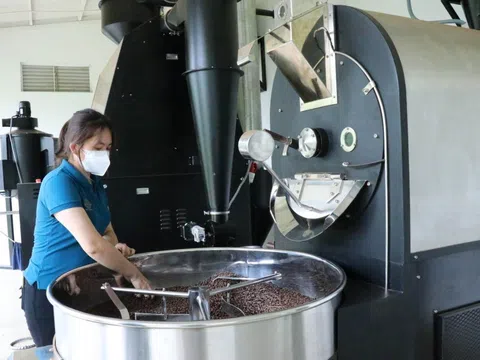 Đắk Lắk với chiến lược xuất khẩu cà phê “giảm thô, tăng chế biến sâu”
