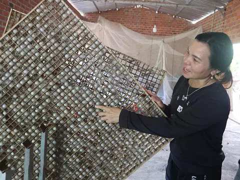 Nghề 'ăn cơm đứng' ở huyện Lắk tạo thu nhập ổn định cho người dân