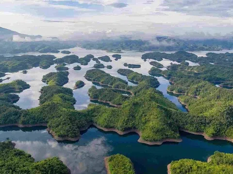 Thành công từ mô hình giao khoán đất rừng tại Vườn quốc gia Tà Đùng