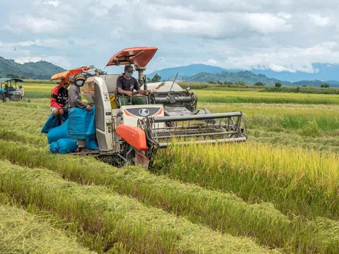 Nông sản Đắk Nông được nâng tầm nhờ liên kết sản xuất giữa hợp tác xã và nông dân