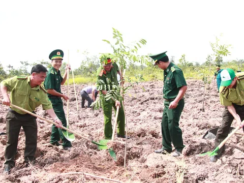 Đắk Lắk đạt 137% chỉ tiêu kế hoạch trồng rừng