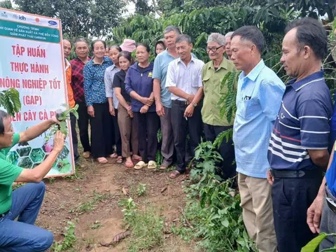 Nông dân Đắk Lắk ứng phó với mùa khô khắc nghiệt 2025