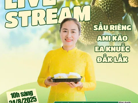 Livestream đặc biệt ở thủ phủ sầu riêng