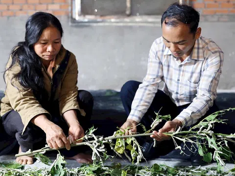 Lâm Đồng: Xây dựng nông thôn mới xanh, bền vững