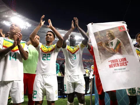 Hà Lan và Senegal - 2 đại diện của Bảng A lọt vào vòng 1/8 World Cup 2022