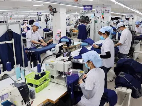 Tiền Giang có trên 80% doanh nghiệp khôi phục sản xuất