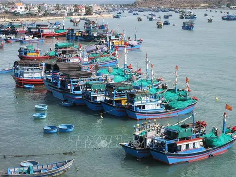 Biển đảo Việt Nam: Tăng năng lực cho đội tàu khai thác xa bờ