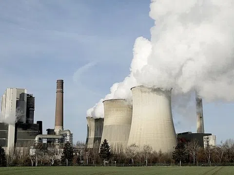 Thịt nhân tạo - xu hướng tương lai giảm phát thải CO2 trong nông nghiệp