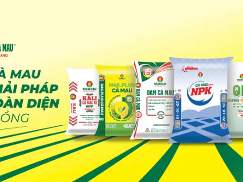 PVCFC (DCM) bứt phá với chiến lược M&A KVF, sản lượng NPK vượt kế hoạch