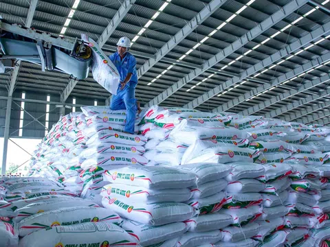 “Tips kinh nghiệm” đưa thương hiệu phân bón Việt vươn ra thế giới