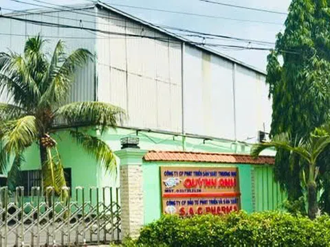 Một công ty bị phạt 35 triệu đồng, buộc tiêu huỷ hơn 11.800 lon sữa bột