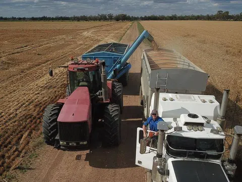 Triển vọng mạnh mẽ của nông nghiệp Úc