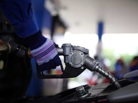 Giá xăng dầu hôm nay 20/8: Thị trường thế giới và trong nước biến động mạnh