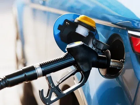 Giá xăng dầu hôm nay 22/9/2025: Thế giới phục hồi nhẹ, trong nước ổn định