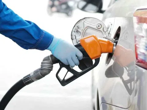 Giá xăng dầu hôm nay 13/10: Thế giới phục hồi nhẹ, trong nước tiếp tục giảm mạnh