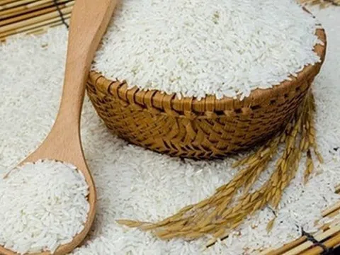 Giá lúa gạo hôm nay 30/10/2025: Giá lúa gạo trong nước ổn định, xuất khẩu biến động trái chiều