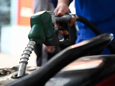 Giá xăng dầu hôm nay 12/11: Thị trường thế giới tăng mạnh, giá trong nước biến động nhẹ