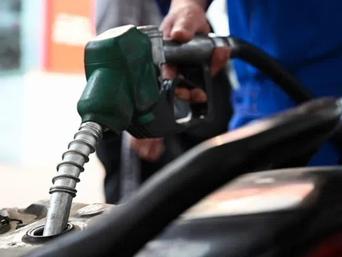 Giá xăng dầu hôm nay 14/11: Thế giới tăng nhẹ, trong nước điều chỉnh