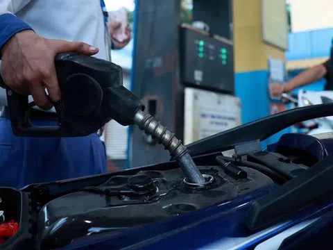 Giá xăng dầu hôm nay 21/11: Cập nhật giá xăng dầu thế giới và trong nước